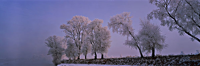 娇妻的3p生活：极速三角，三人竞速与团队经营的艺术之旅-3