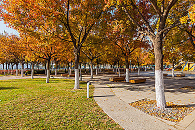 3p娇妻在客厅被弄到高潮：客厅极速双人协奏曲，三重技巧打造家庭赛道传奇