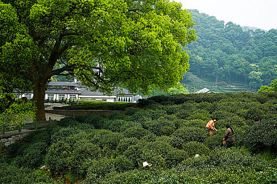 五一黑网：暗影疾驰，数据迷踪中的极速解码战-3