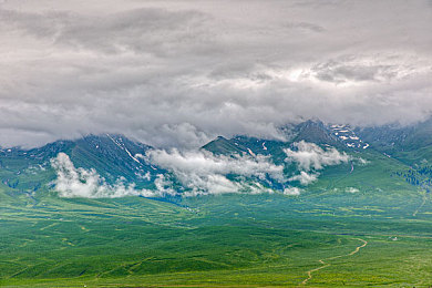 男人和女人坤坤：竞速双雄对决，刚猛与灵动的赛道策略博弈