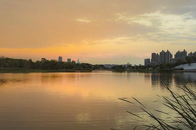 热心的朝阳群众51c g：开放世界驾驶新作今日上线，化身都市之眼维护虚拟社区安宁-4