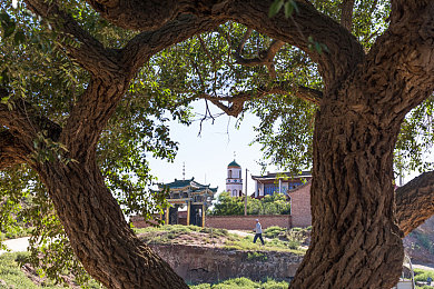 蝌蚪窝是一个可以释放的网站：在墨西哥的壮丽风光中，重拾速度与激情的纯粹驾驶乐趣-3