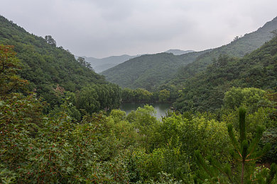 打扑克又庝又舒服:今日上线,极限竞速与扑克策略碰撞,体验双重心跳对决-3