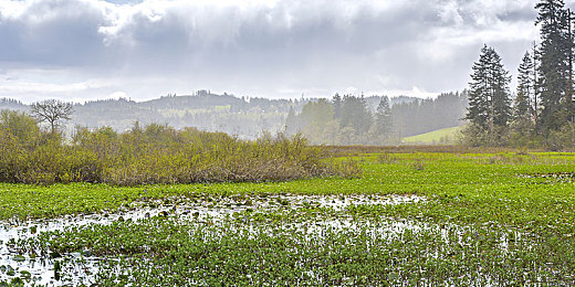 欧美日韩1234区：四洲名驹共驰，墨西哥画卷中轮印交织的文明对话-2