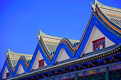 黄色APP免费下载3.0：墨西哥狂野飙车，极限竞速地平线五开放世界驰骋之旅-4