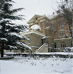 黄色免费软件下载3.0.3：极限竞速地平线5，墨西哥狂飙之旅，视觉与速度的终极盛宴-2