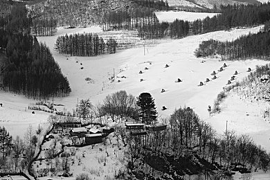 色狼软件的视频：当黑夜引擎轰鸣，数据暗流侵袭街头竞速-2