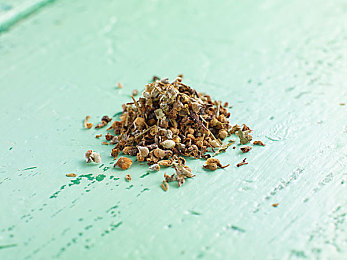 火爆社区向日葵：极限竞速地平线5，打造你的专属传奇车库-3