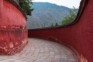 男女打扑克又疼又叫：极速狂飙与心理博弈，令人心跳加速的卡牌竞速新体验