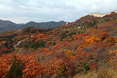 69乐园会员相册：虚拟豪车收藏馆今日开放，打造你的专属车库传奇-3