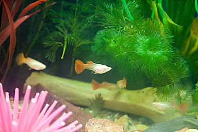 东京热色APP:未来都市竞速幻想,霓虹赛道指尖狂飙-2