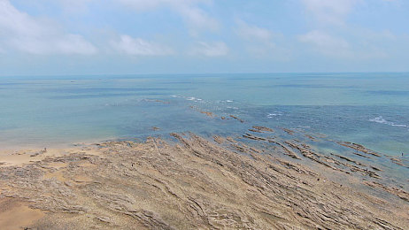 机机对机机120分钟免费下载版：未来战车，双模竞速与火力交锋的都市狂飙-3