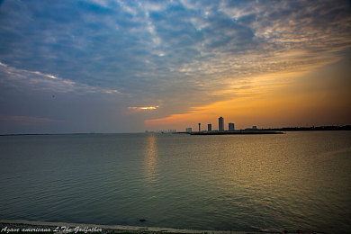 3.0.3黄：竞速游戏改装新潮流，黄金时代性能美学引爆玩家社区-4