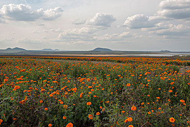 台中文娱乐网2222：极速纪元霓虹轨迹今日上线，动态赛道与反重力竞速颠覆传统玩法