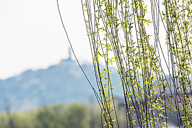 打朴克不盖被子：极速狂飙德州车神，策略与胆量的终极竞速对决-3