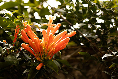 吊逼软件:混沌驾驶颠覆物理法则,荒诞赛车游戏引爆全新竞速风潮-2
