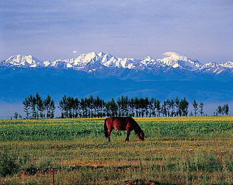 一男一女打扑克的视频软件：竞速搭档，卡牌驱动，默契协作，策略驰骋-1
