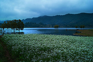 一小孩和妈妈一起摘萝卜：田园驾驶新体验，亲子协作共度温馨农场时光