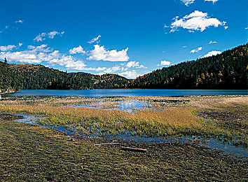 黄色软件大全下载3.0.3每天OPPO版苹果版p:极速幻境,指尖狂飙,移动竞速的终极驾驭体验-3