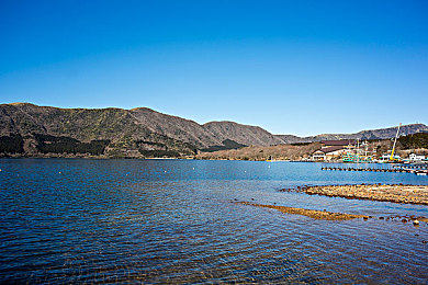 男生和女生那个APP下载：竞速游戏数据揭秘，不同性别玩家策略选择大不同-4