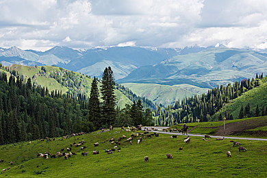 黄色福利app：疾驰耀光，幻影赛道上的金色旅程-4