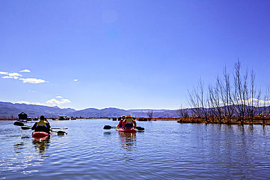 julia ann 一对七黑人:极速七重奏,赛道上的心理博弈与耐力试炼-2