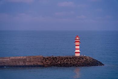 天禄陈皮是几线产区：极速经营，资源版图下的竞速战略博弈