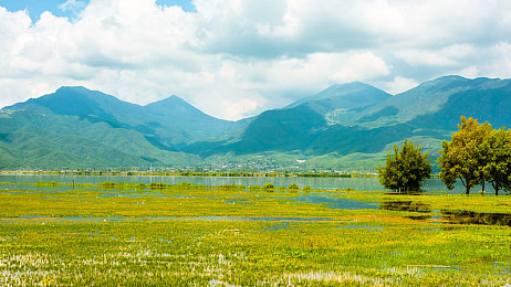 国产成人综合福利：霓虹赛道驾驭未来，情绪引擎颠覆竞速体验-2