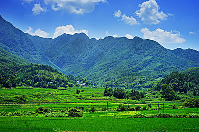 97伦理蜜桃：复古赛车经典回顾，甜蜜叛逆背后的设计哲学与竞速革新-3