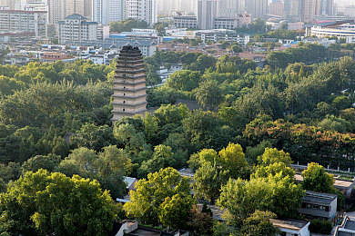 老师用脚帮你设：极限车神新DLC颠覆教学，AI教练实时介入操控带你突破车技-3