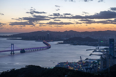 打扑克又叫疼：当策略卡牌遇上极速狂飙，平衡搭配方能决胜赛道-1