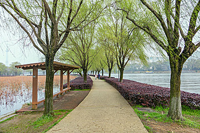 亚洲 欧洲 一区 二区：全球赛道分区征服，极速竞逐策略制胜