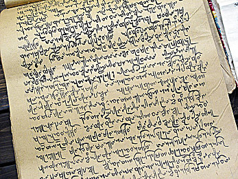 男人日女人APP：竞速新作上线三月，性别阵营对决引爆移动赛车热潮