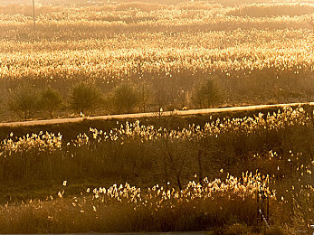男生和女生一起差差的APP：双人极速性别挑战赛今日上线，差异协作引爆竞速新潮流-3