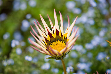 王者荣耀女角色全身没有小爱心图片冫：冷峻美学与战场谋略，英雄设计的深层博弈-2