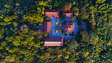 红猫大本猫营211hm值不值得玩：萌爪飞驰，奇幻赛道上的毛茸茸竞速之旅-3