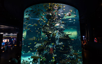 晚上打扑克：竞速新作夜路牌局上线，卡牌策略重塑街头飙车体验-4