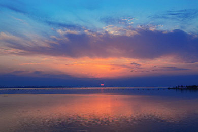 黄色软件3.3.0OPPO：霓虹轨迹，未来都市极速狂飙幻想曲-2