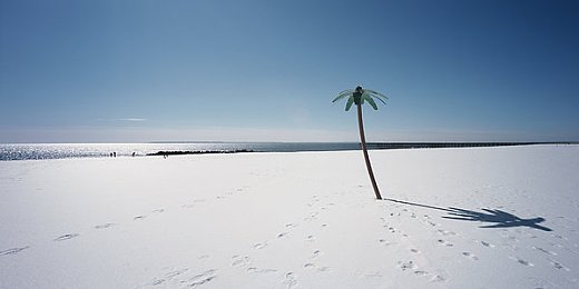 免费的黄色软件：极速狂飙，黄金出租车带你畅游都市赛道-2