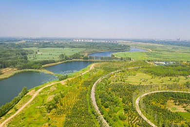 黄色软件下载3.0.3每天无限三次：《极限街头狂飙》推出黄金氮气模块，每日三次无限加速助力赛道逆转-3