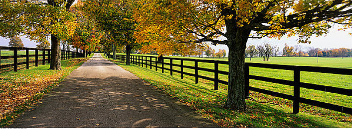 明星被c：虚拟偶像赛道上的领航者博弈与成长之旅-3