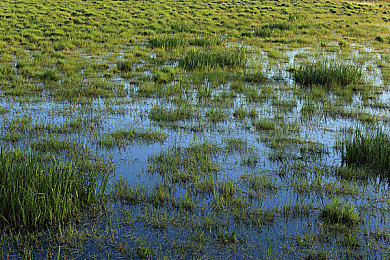 成人福利App导航：极限狂飙地下车神，深度改装与智能导航开启硬核赛车盛宴-3