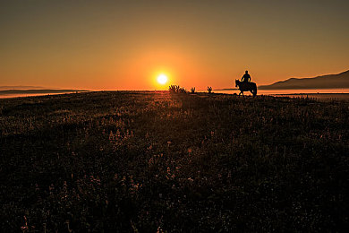 国产网友Av：竞速与探索融合，国产独立游戏打造深度驾驶冒险新体验