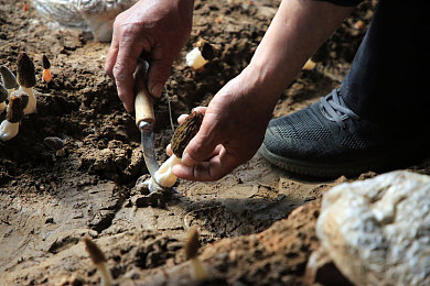 久草：重返黄金年代，在极限竞速地平线中驾驭经典日系跑车