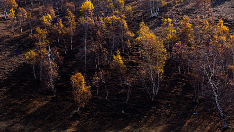 网战你应该明白我的意思吧：竞速对决硝烟再起，全新战术驾驶时代今日正式降临-4