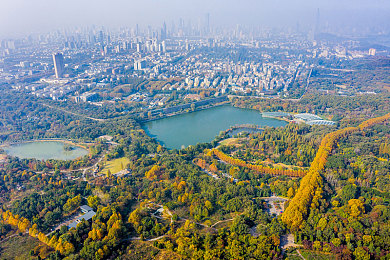 男生女生在床上打扑克软件：虚拟牌局双人巅峰，策略心理对决的竞技艺术