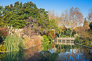 色狼APP：霓虹风暴中的色彩竞速，全新光谱引擎颠覆传统赛车体验