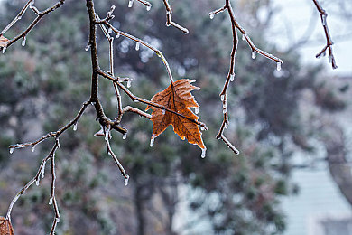 h成人av：极速境界，拟真狂飙，虚拟赛道上的硬核试炼-2