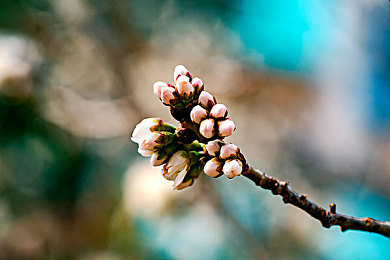 操软件：极致调校新作上线，赛车工程师的虚拟战场今日开启-2