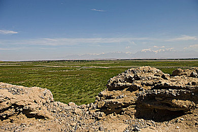 黄色软件免费下载3.033：极速狂飙3.033攻略，征服赛道的调校艺术与竞速精髓-3